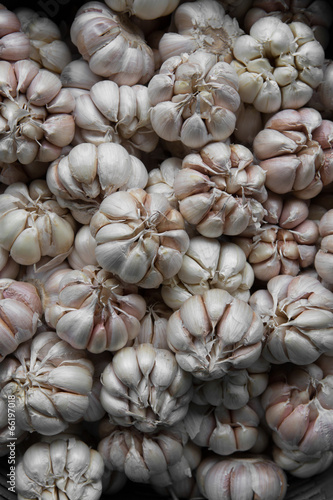close up of garlic background