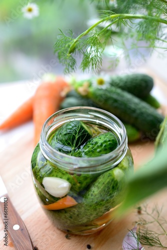 Fresh cucumbers in the jar, just filled with brine.