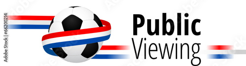 Public Viewing