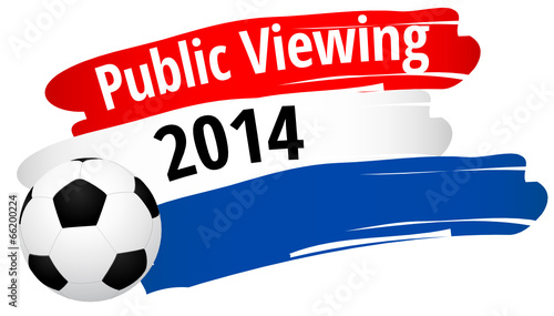 Public Viewing 2014