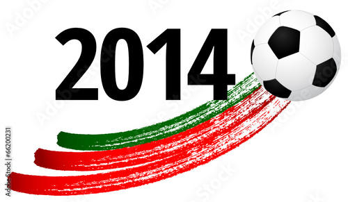 Fussball 2014