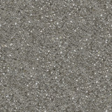 Concrete Surface with Shellsb- Seamless Texture.