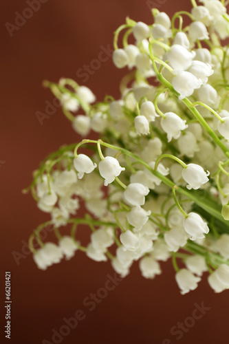 Beautiful lilies of the valley on brown background