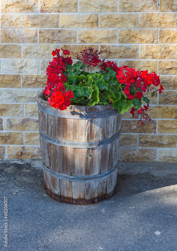 Wooden flower pot with  red flowers