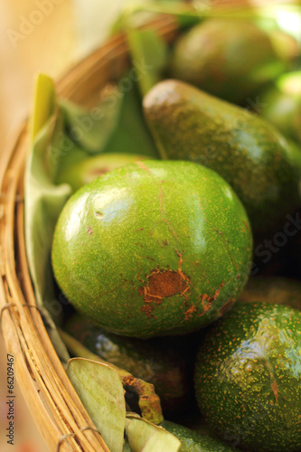 Avocado fruit fresh in the basket.