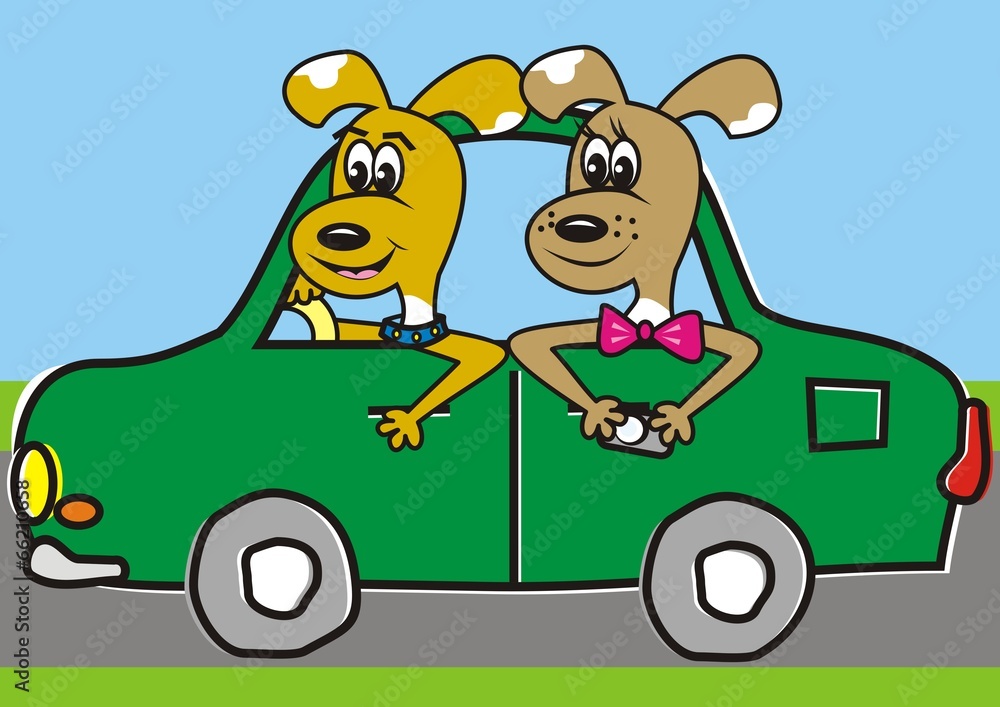 dog in the car dog in the car