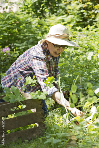 woman in the garden