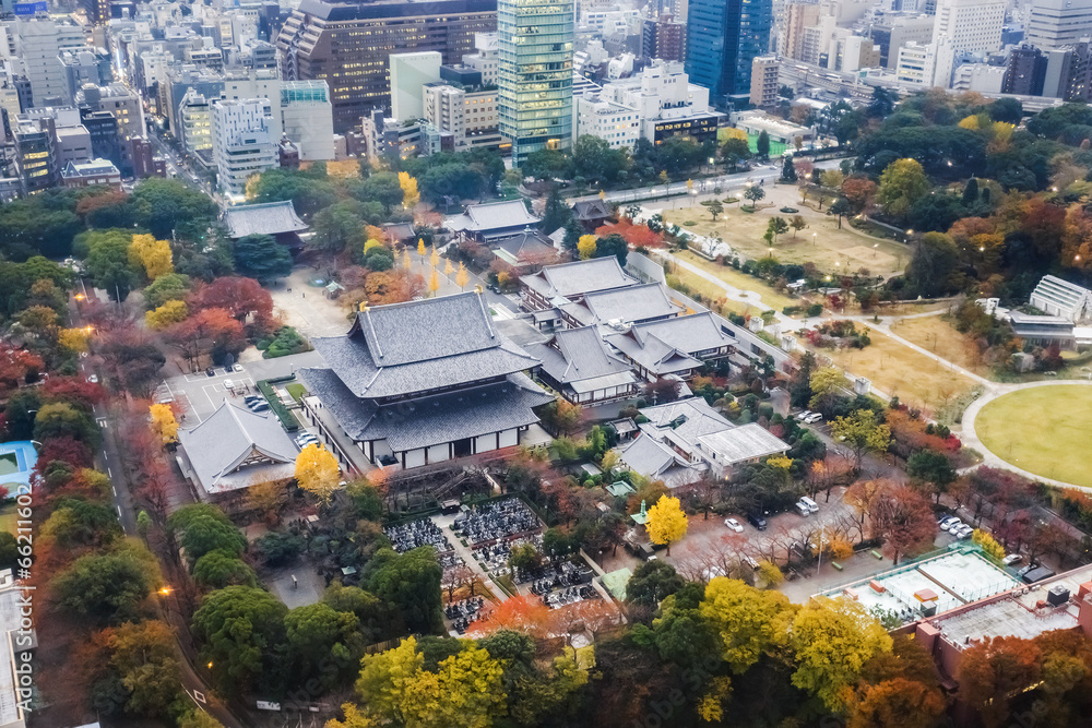 Obraz premium Zojoji Temple in Tokyo