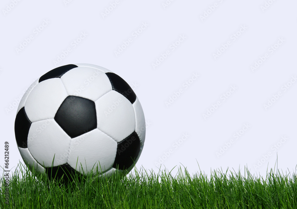 soccer ball soccer ball