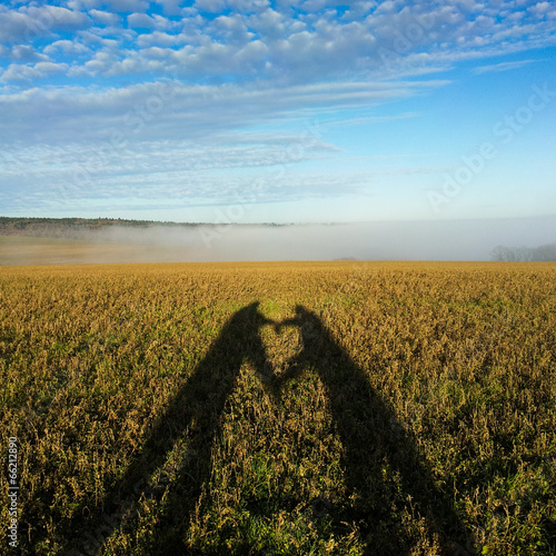 ombre d'un coeur photo