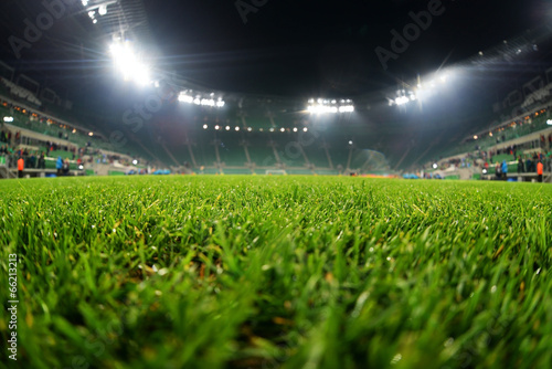 stadium, close up on grass