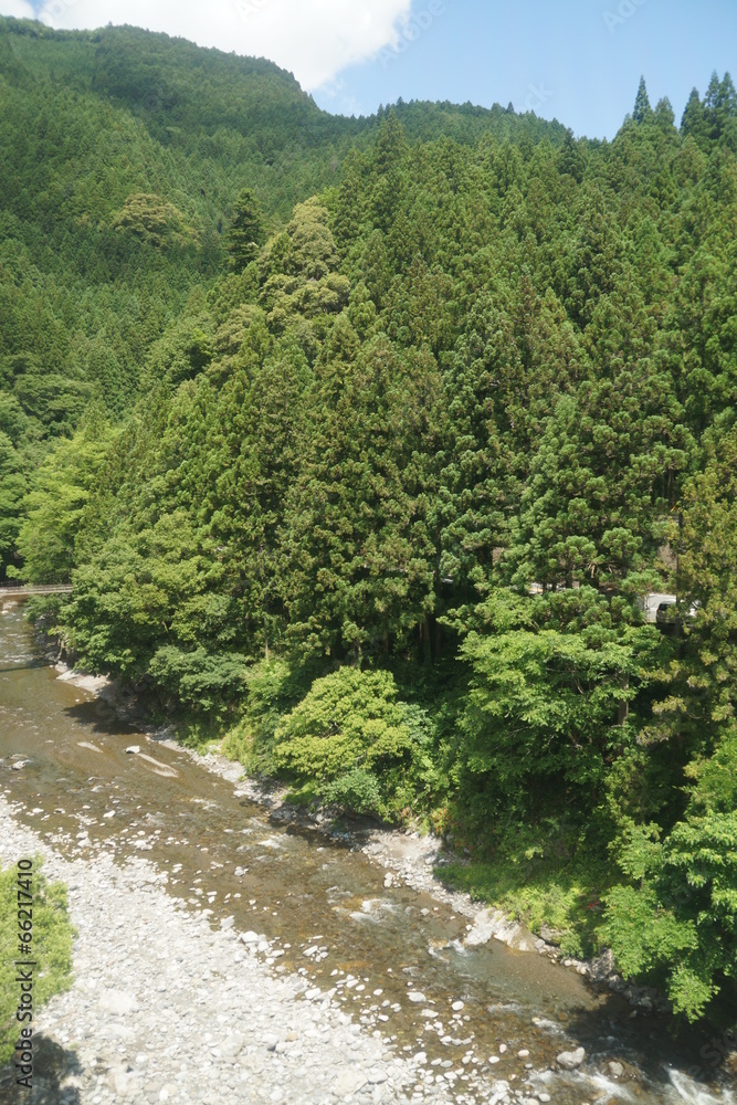 飯田線からの車窓  天竜川の渓谷美