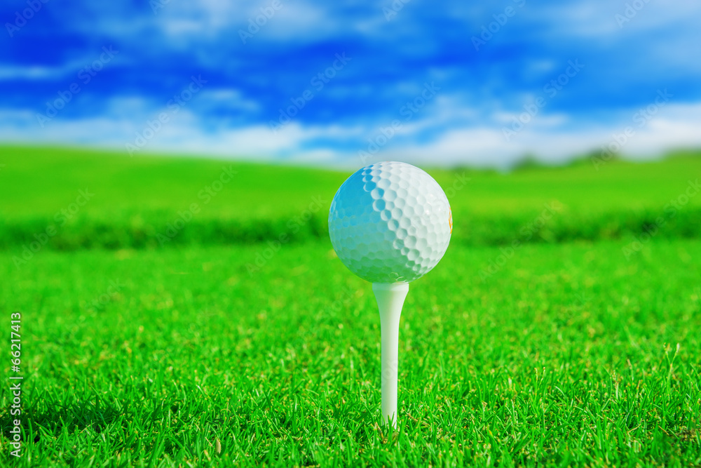 Golf club. Green field and ball in grass Golf club. Green field and ball in grass
