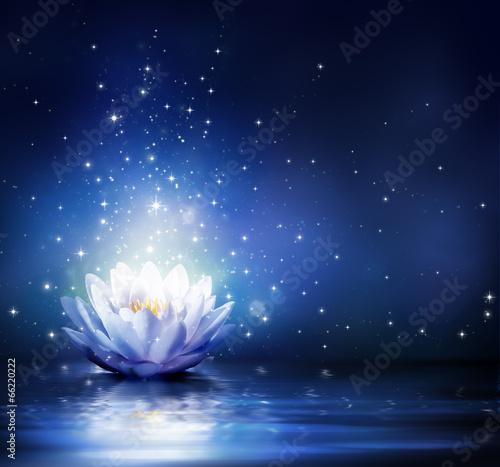 magic flower on water - blue