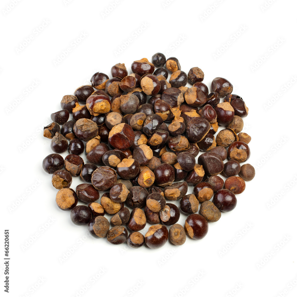 Obraz premium Guarana seeds