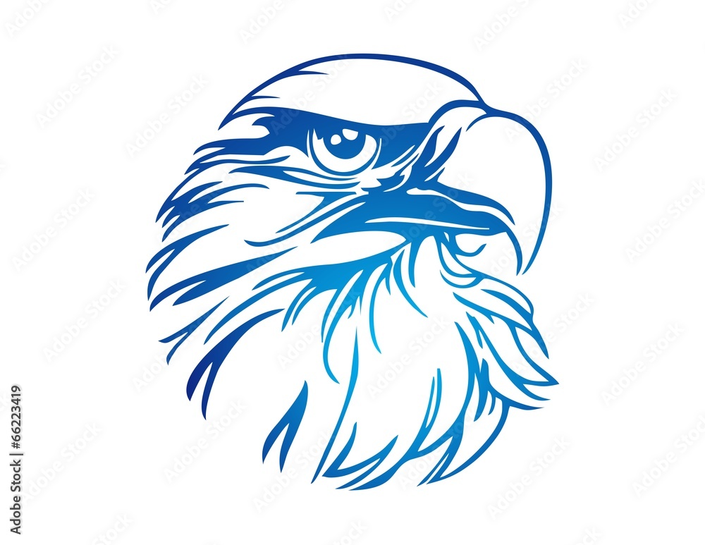 Fototapeta premium hawk logo eagle icon bird symbol