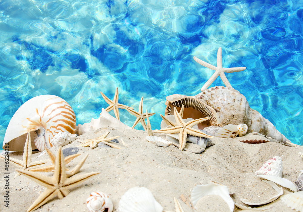 Karibik: Sand, Meer, Muscheln und Seesterne :) Karibik: Sand, Meer, Muscheln und Seesterne :)