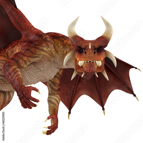 red dragon close up
