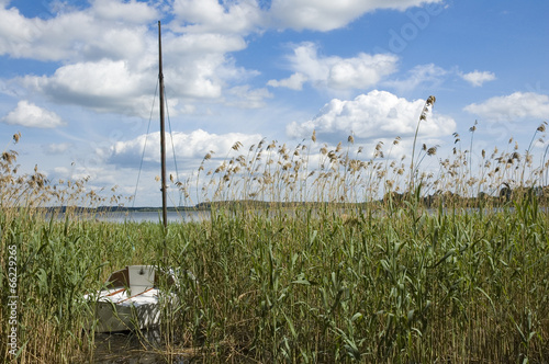 Sailboat among reeds
