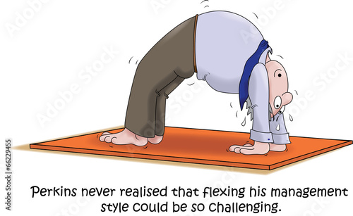 flexing your management style