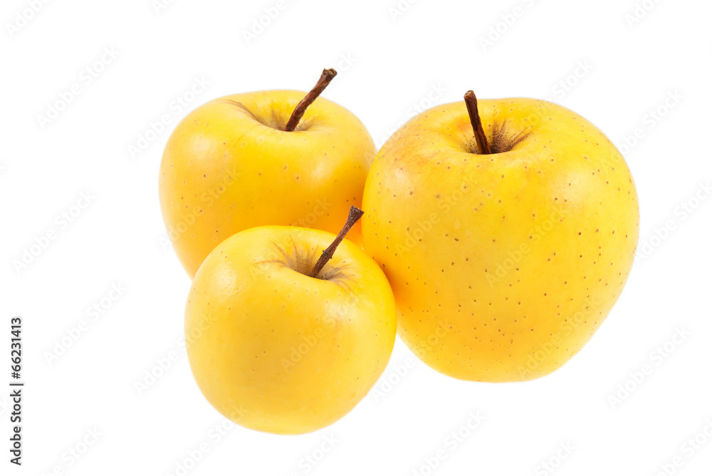 golden delicious juicy apples isolated on white golden delicious juicy apples isolated on white