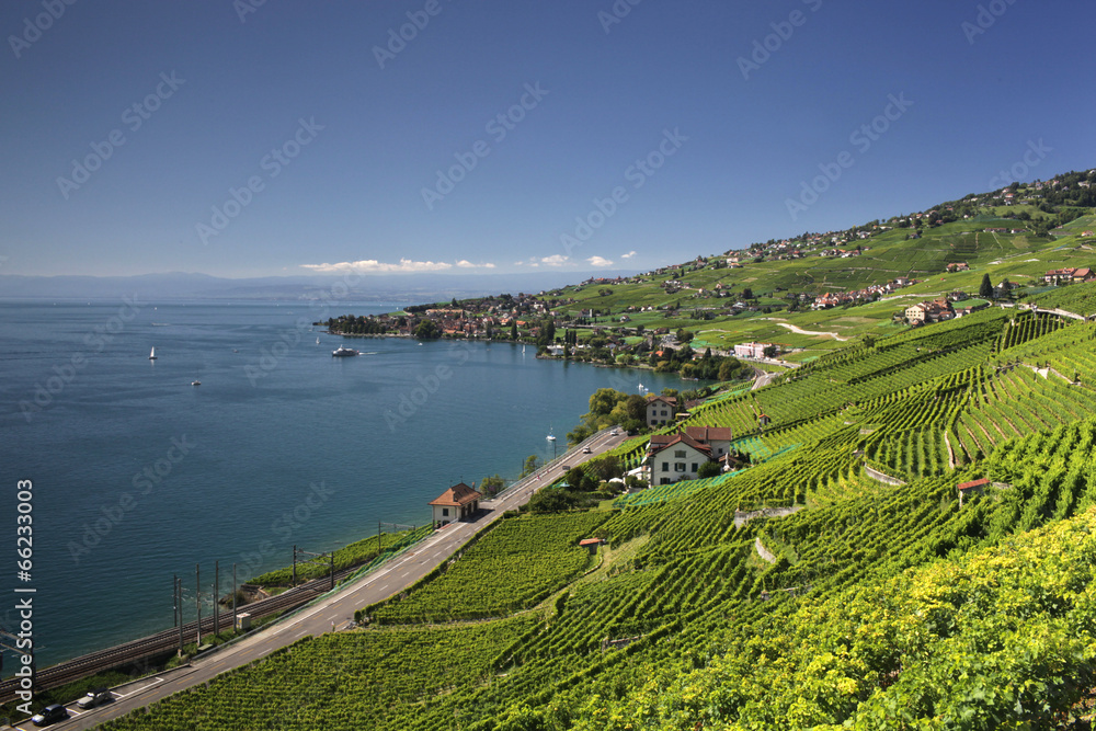 View of Lake Geneva over the Lavaux vines