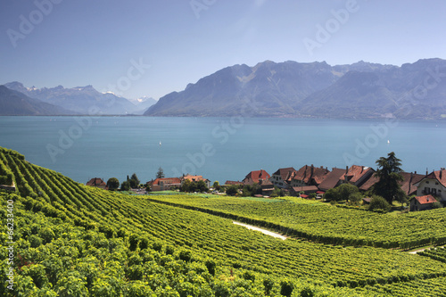 View over lake Geneva from the Lavaux vines. photo
