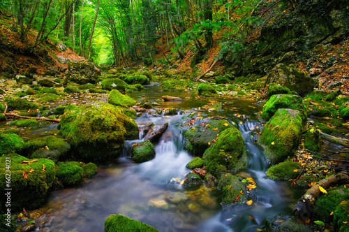River in deep wood