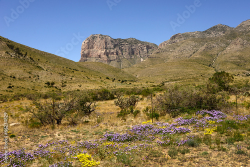 Spring at El Capitan, West Texas