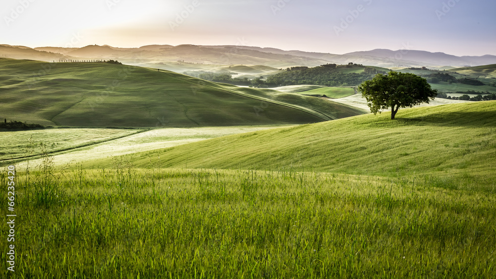 Fototapeta premium Foggy meadows in the morning, Tuscany