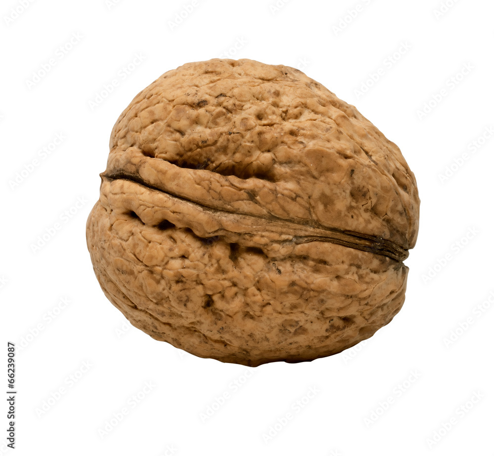Single walnut isolated on a white background. Single walnut isolated on a white background.
