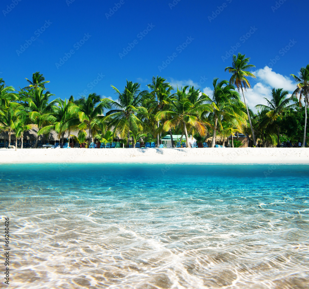 Obraz premium tropical beach
