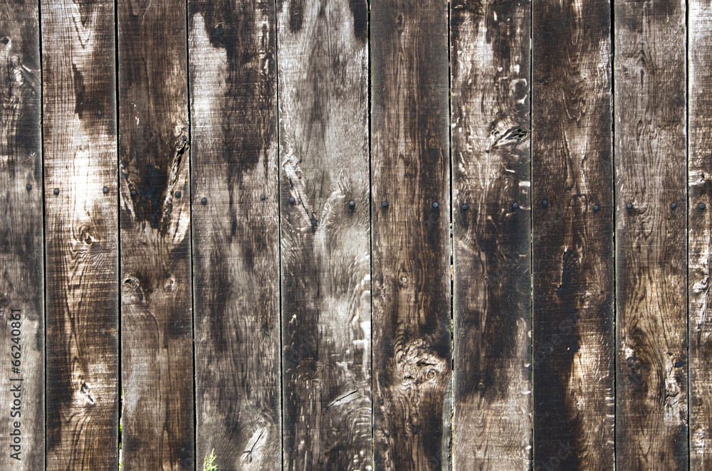 Obraz premium wood texture