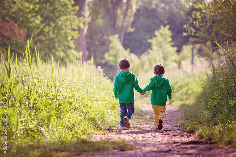 Fototapeta premium Two boys walking in park, holding hands