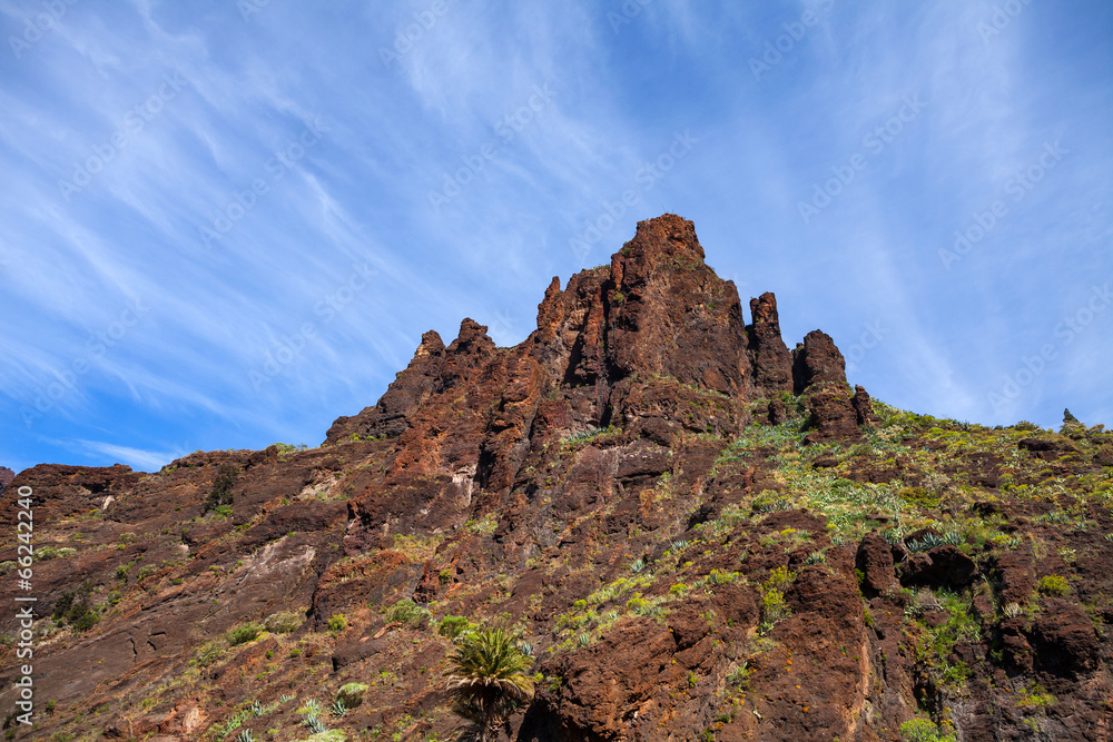 Fototapeta premium Masca