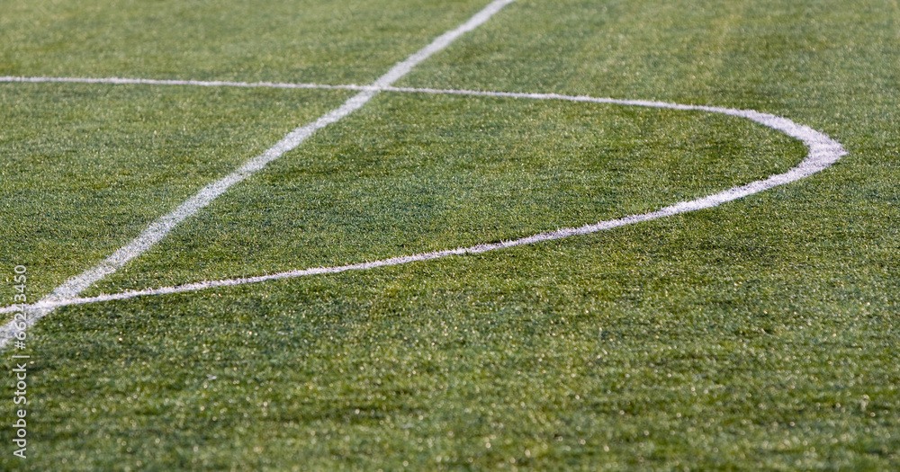 Fototapeta premium green soccer field