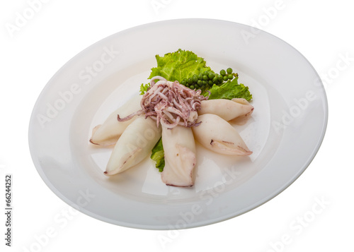 Boiled squid