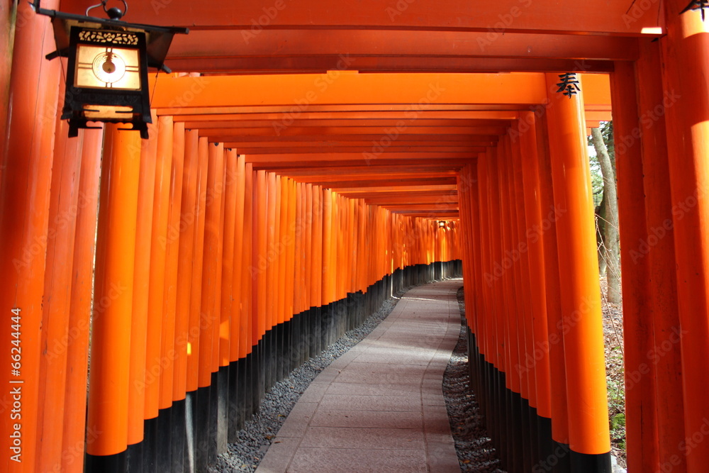 Fototapeta premium 京都 伏見稲荷の千本鳥居