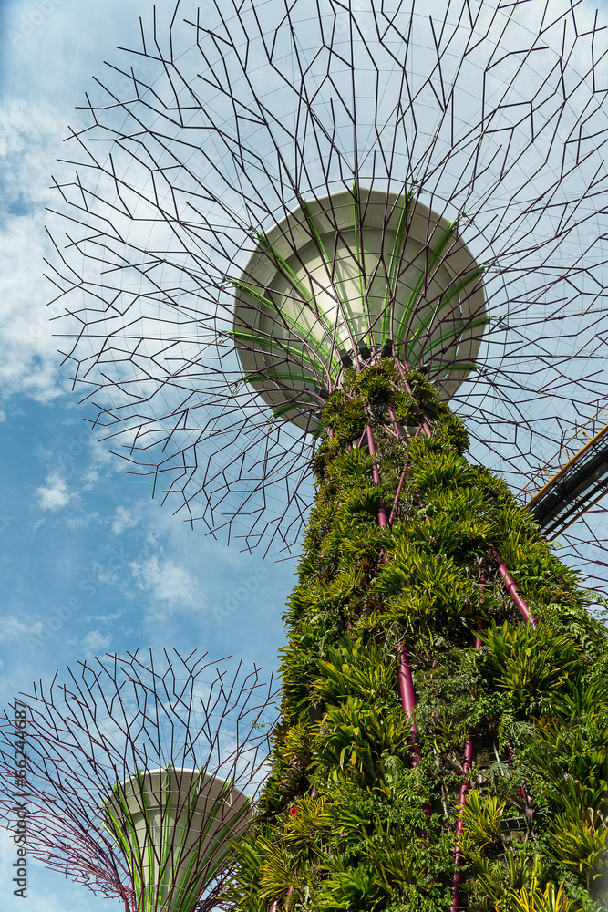 Fototapeta premium SINGAPORE - MAY 12: Gardens by the Bay on Mar 12, 2014 in Singap