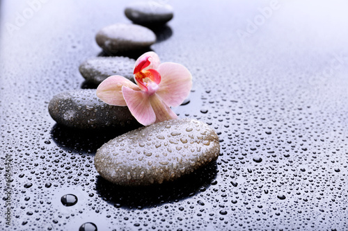 Fototapeta Naklejka Na Ścianę i Meble -  Composition with beautiful blooming orchid with water drops and