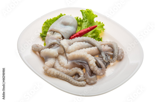 Raw octopus