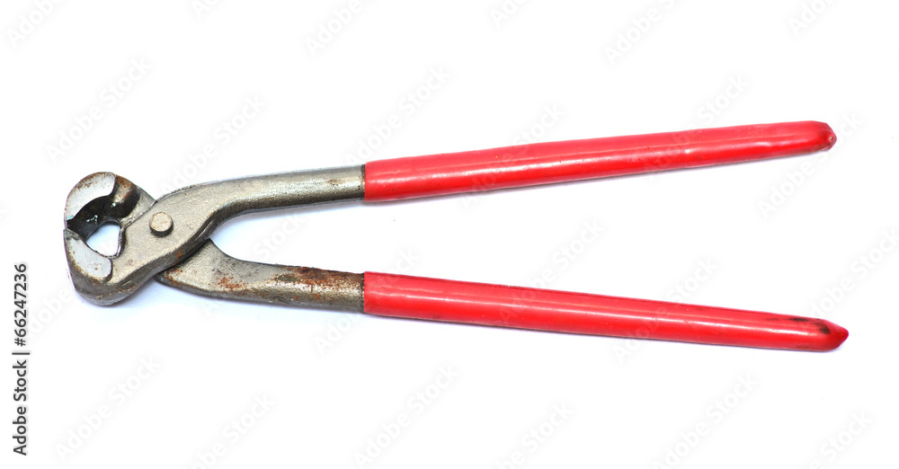 Old Nail nippers on white background Old Nail nippers on white background
