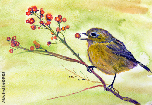bird on a branch