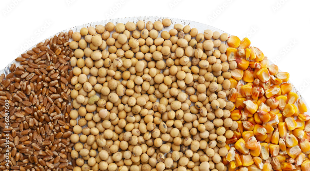 Fototapeta premium Cereals close up