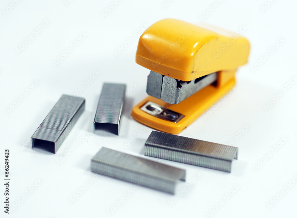 Stapler with staples