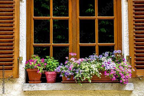 Fototapeta Naklejka Na Ścianę i Meble -  Fenster mit hübschen Blumen