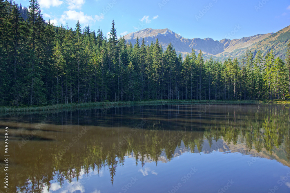 Reflection on Smreczynski lake in Koscieliska Valley, Tatras