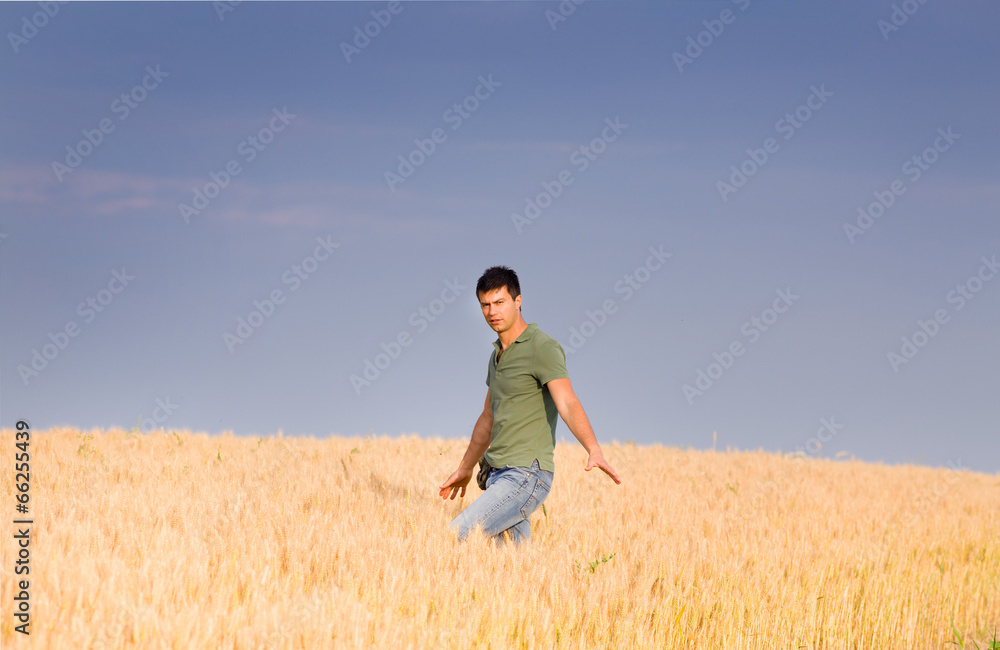 Attractive man in barley field Attractive man in barley field