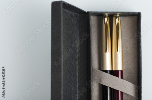 case with fountain pens