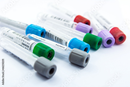 Quadro em tela blood tube collection